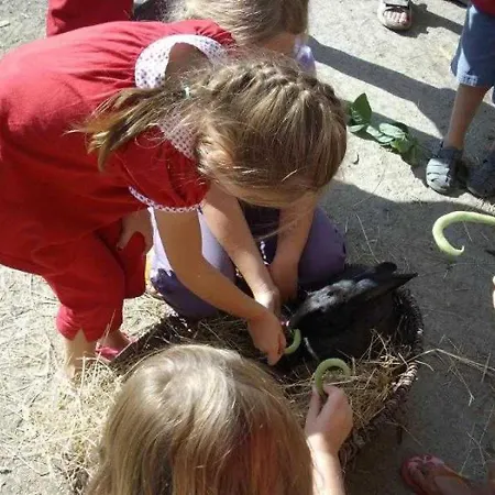 אתר קמפינג 3 Etoiles - Piscine - Cca0gbb Apremont (Vendee)