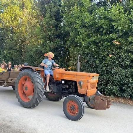 Zecamping 3 Pet Friendly Piscine Couverte Chauffee Et Soirees Animees Kemp *