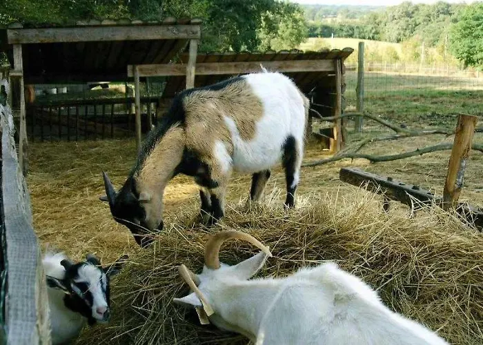 Camping Camping 3 étoiles - Piscine - cca0gae