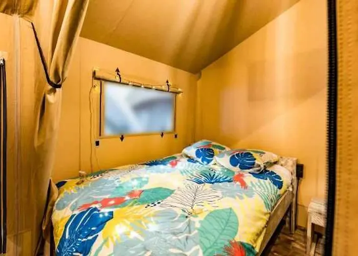 Zecamping 3 Pet Friendly Piscine Couverte Chauffee Et Soirees Animees *