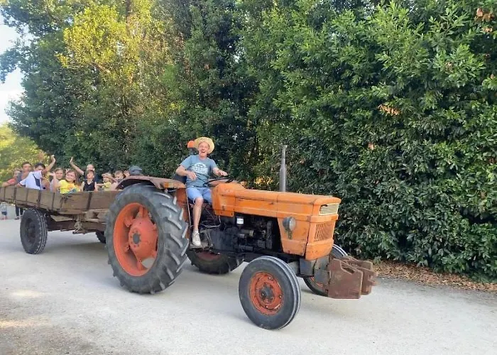 Zecamping 3 Pet Friendly Piscine Couverte Chauffee Et Soirees Animees Kemp *