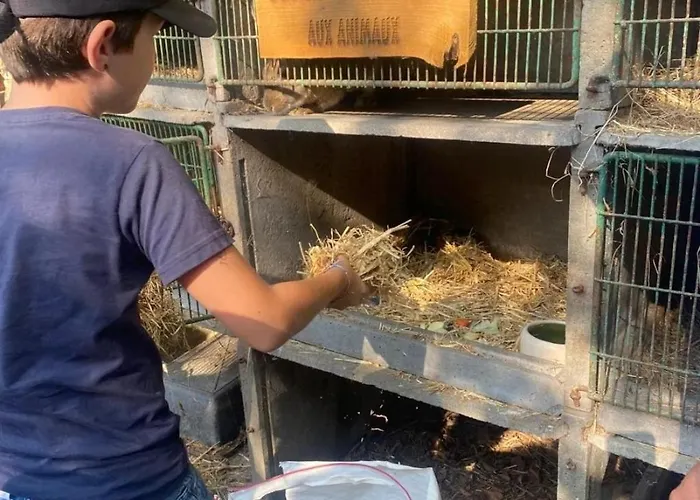 Kemp Zecamping 3 Pet Friendly Piscine Couverte Chauffee Et Soirees Animees