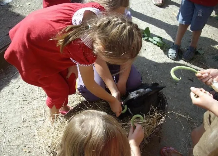 Zecamping 3 Pet Friendly Piscine Couverte Chauffee Et Soirees Animees Apremont (Vendee)