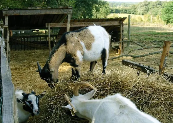 Camping 3 étoiles - Piscine - cca0gae Camping